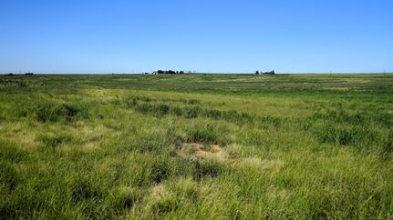 Farm and Ranch for sale in Lamb County, Texas