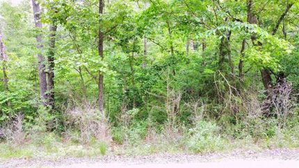 Undeveloped Land for sale in Benton County, Missouri