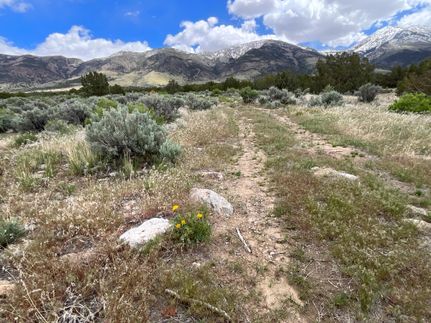 Undeveloped Land for sale in Elko County, Nevada