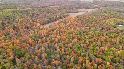 Land for sale in Cape Girardeau County, Missouri