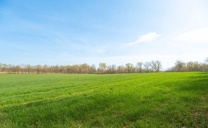 Farm and Ranch in Stoddard County, Missouri