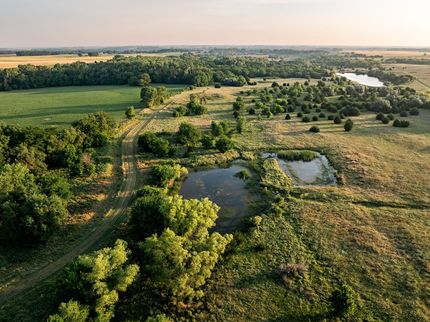 Land for sale in Kingman County, Kansas
