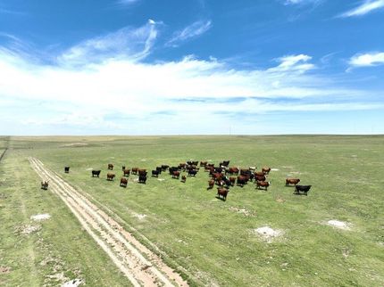 Farm and Ranch for sale in Cheyenne County, Colorado