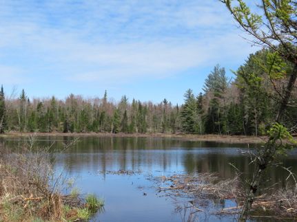 Recreational Property for sale in Lewis County, New York