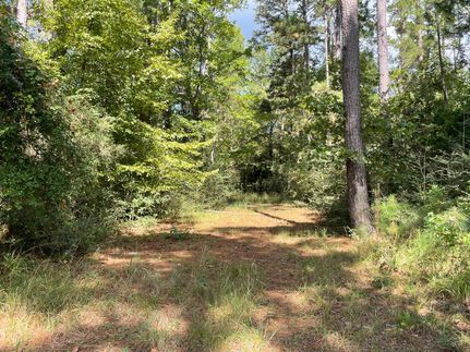 Timberland Property for sale in Houston County, Texas
