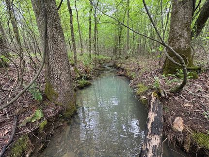Undeveloped Land for sale in Montgomery County, Arkansas