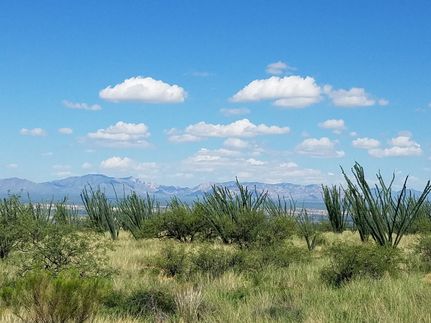 Homesite for sale in Cochise County, Arizona