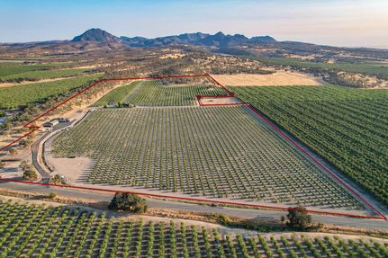 Undeveloped Land for sale in Sutter County, California