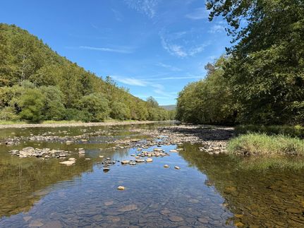 Farm and Ranch for sale in Cameron County, Pennsylvania