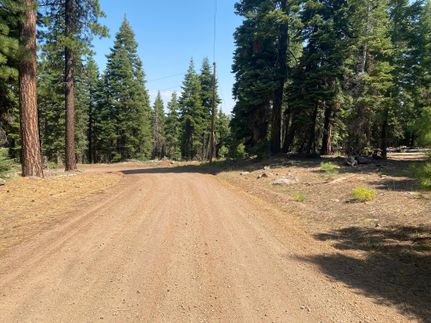 Undeveloped Land in Modoc County, California