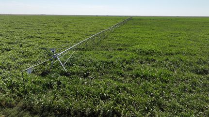 Land for sale in Cimarron County, Oklahoma