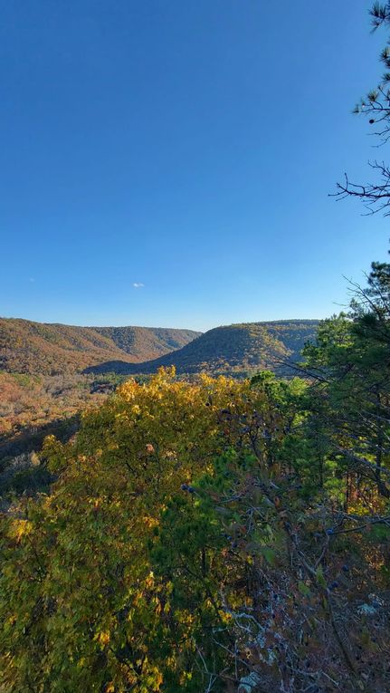 Farm and Ranch in Stone County, Arkansas