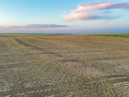 Land for sale in Logan County, Kansas