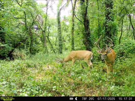 Timberland Property for sale in Montgomery County, Kansas