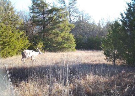 Farm and Ranch for sale in Lamar County, Texas