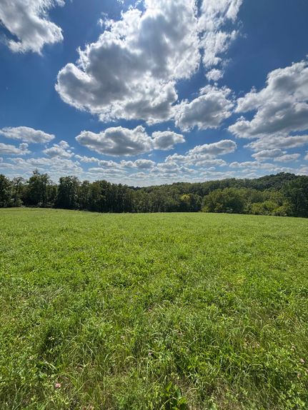 Hunting Property for sale in Clinton County, Iowa