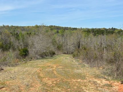 Hunting Property for sale in Twiggs County, Georgia