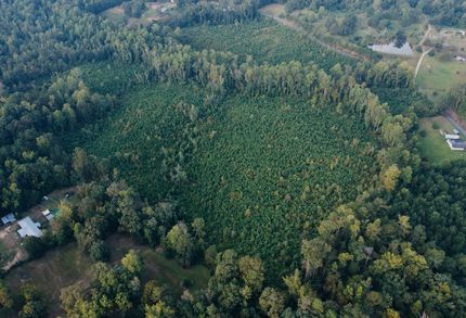 Recreational Property for sale in Lauderdale County, Mississippi