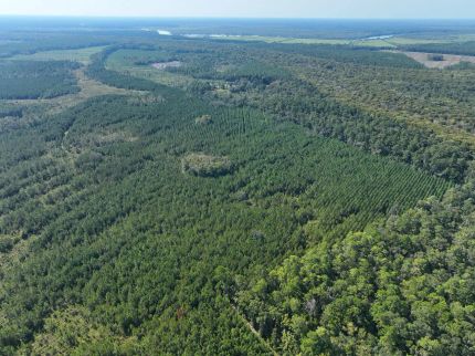 Farm and Ranch for sale in Camden County, Georgia