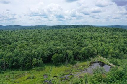 Timberland Property for sale in Saint Lawrence County, New York