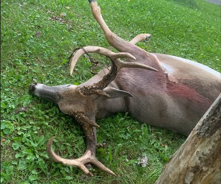 Farm and Ranch in Marinette County, Wisconsin