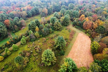 Timberland Property for sale in Lycoming County, Pennsylvania