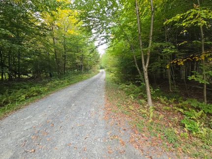 Undeveloped Land for sale in Chenango County, New York