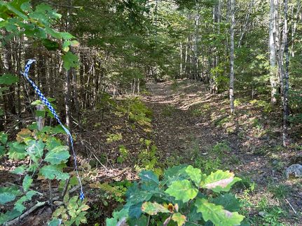 Land for sale in Lincoln County, Maine