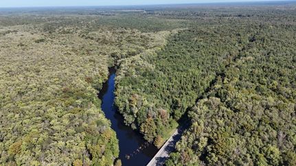 Waterfront Property for sale in Clarendon County, South Carolina