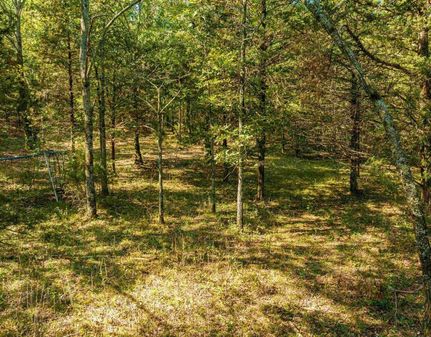 Farm and Ranch for sale in Sharp County, Arkansas