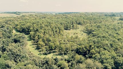 Land for sale in Mercer County, Illinois