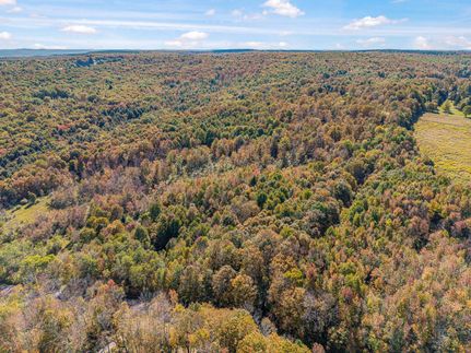 Land for sale in Chenango County, New York