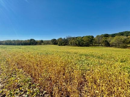 Farm and Ranch for sale in Appanoose County, Iowa