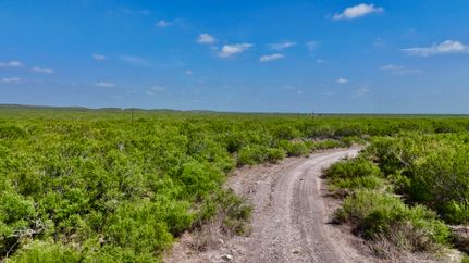 Farm and Ranch for sale in Duval County, Texas