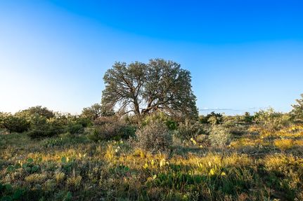 Farm and Ranch for sale in Concho County, Texas