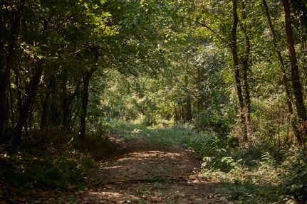 Lakefront Property for sale in Washington County, Mississippi