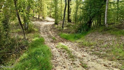 Hunting Property for sale in Madison County, Mississippi
