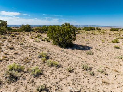 Undeveloped Land for sale in Apache County, Arizona