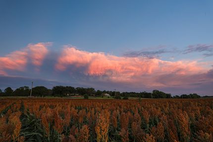 Farm and Ranch for sale in Barton County, Kansas