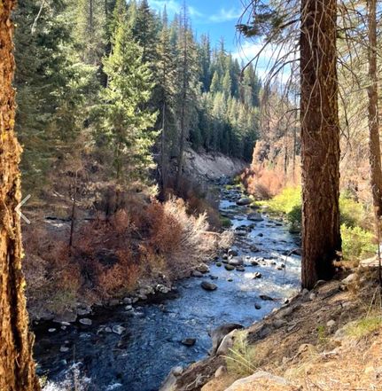 Riverfront Property for sale in Plumas County, California