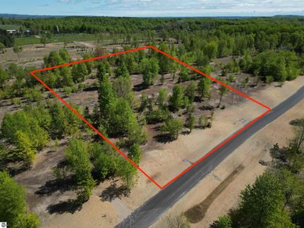 Undeveloped Land for sale in Leelanau County, Michigan