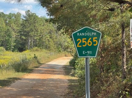 Recreational Property for sale in Randolph County, Alabama