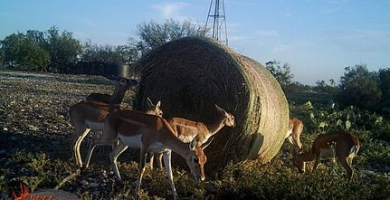 Recreational Property for sale in Val Verde County, Texas