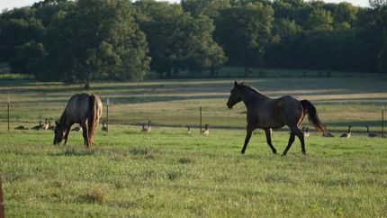 Land for sale in Pontotoc County, Oklahoma