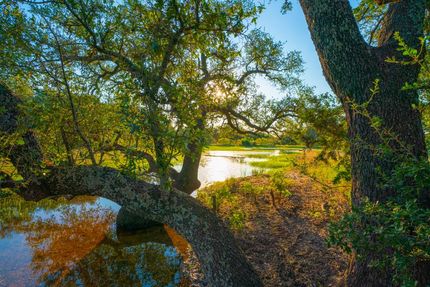 Land for sale in San Saba County, Texas