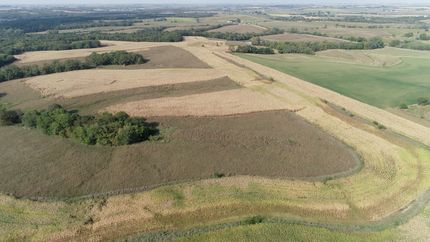 Land for sale in Taylor County, Iowa