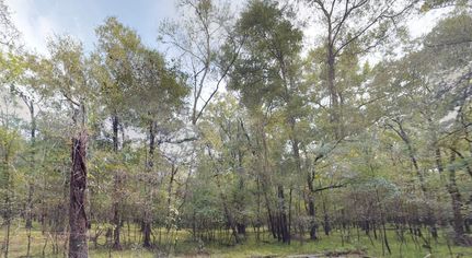 Land in Liberty County, Texas