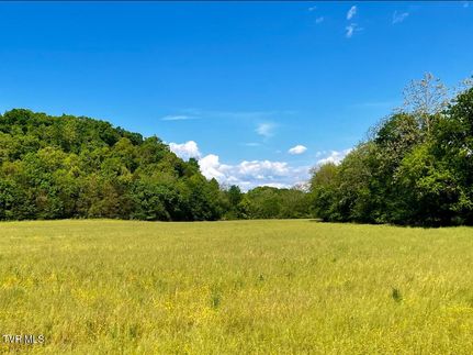 Timberland Property for sale in Greene County, Tennessee
