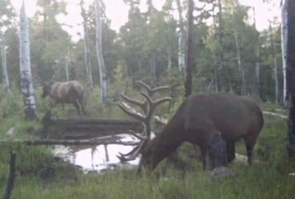 Hunting Property for sale in Montrose County, Colorado