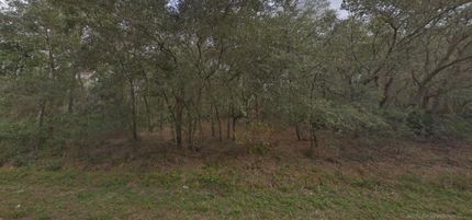 Undeveloped Land for sale in Putnam County, Florida